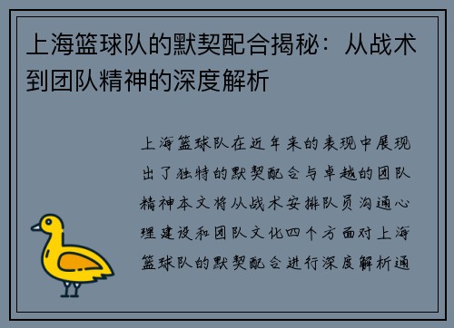 上海篮球队的默契配合揭秘：从战术到团队精神的深度解析