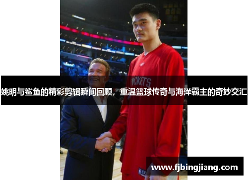姚明与鲨鱼的精彩剪辑瞬间回顾，重温篮球传奇与海洋霸主的奇妙交汇