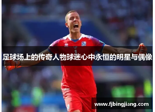 足球场上的传奇人物球迷心中永恒的明星与偶像